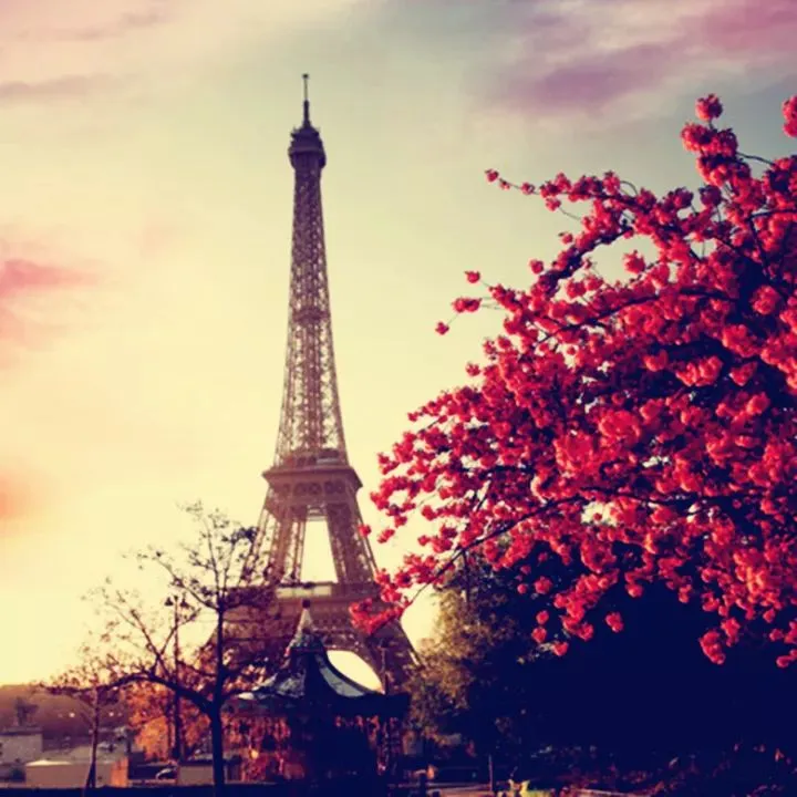 上亿人贡献的旅行攻略,都在这里了!