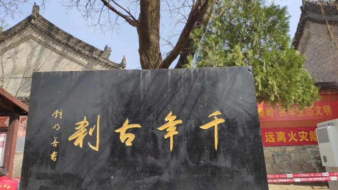 我人生最大的爱好旅游和学习