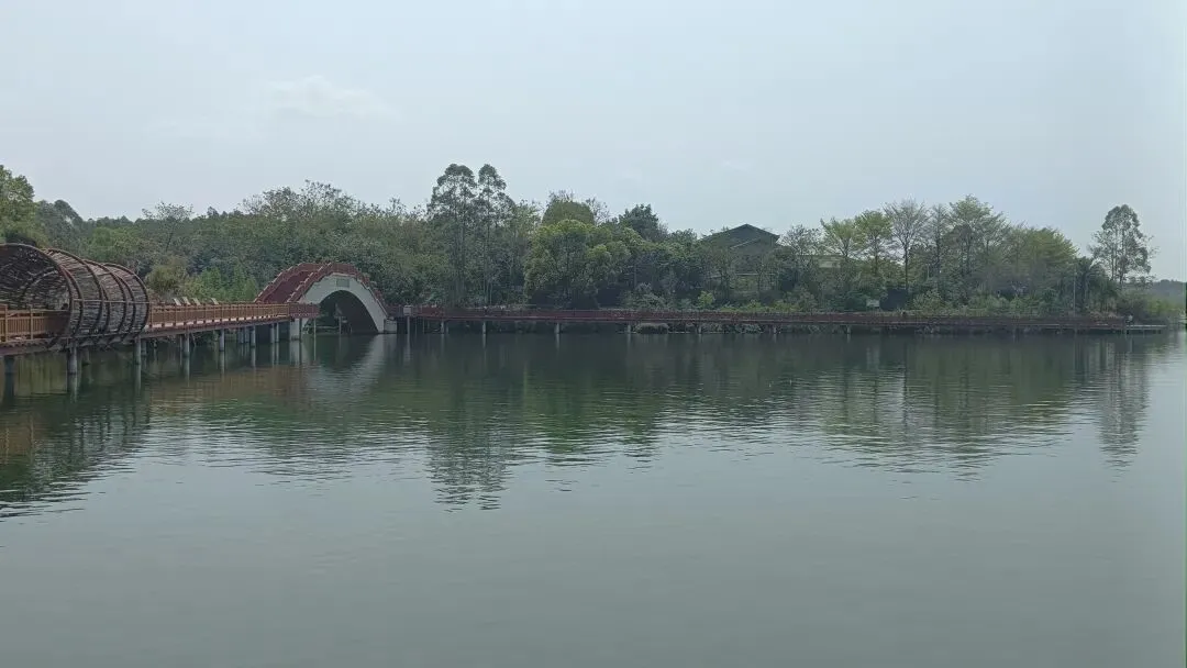 横州西津湿地公园沙埠景区:南宁人的“洱海”与房车露营天堂