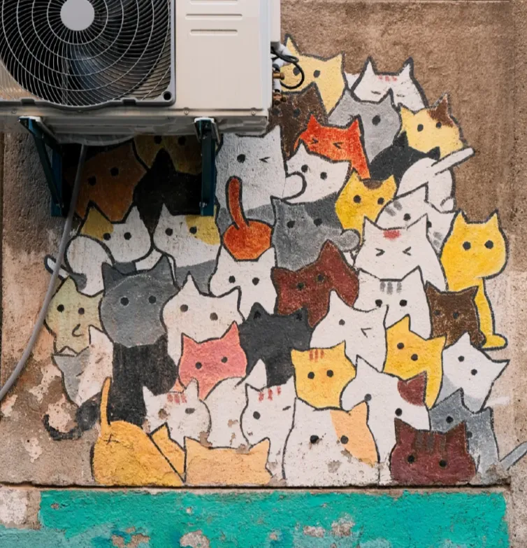 国内那些和猫猫有关的5个景点,爱猫人士一定要来打卡