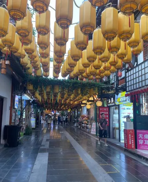 大量巴基斯坦游客涌入德阳,打着旅游的幌子,不逛三星堆,不吃罗江豆鸡,为什么?