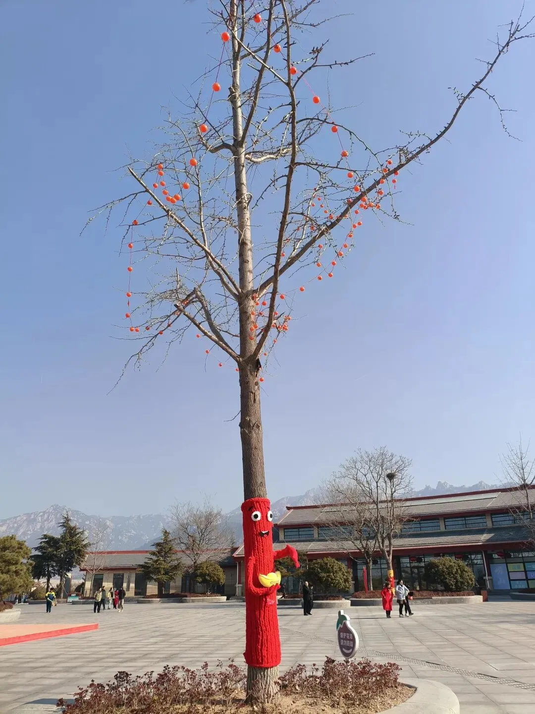 正月初二游太清景区20260218(一)