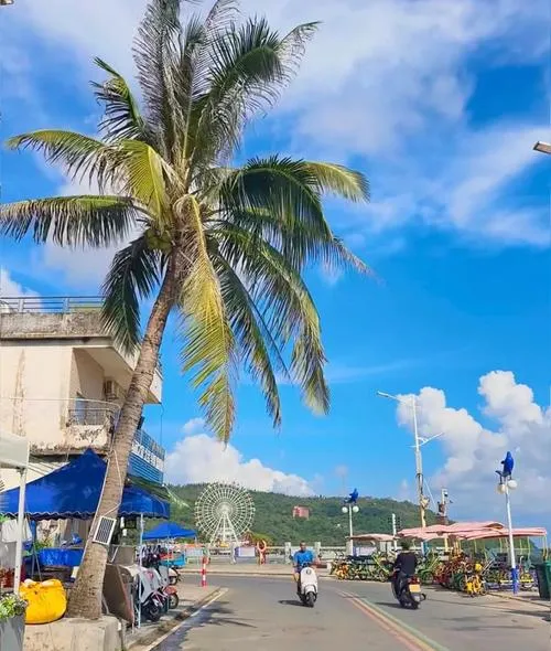 大量意大利游客涌入阳江,打着旅游的幌子,不逛海陵岛,不吃猪肠碌,为什么?