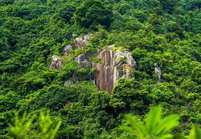 海南琼中县旅游攻略必去十大景点推荐,一日游好玩的地方全在这里!