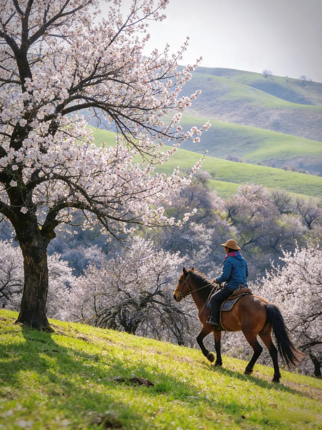 新疆春季错峰旅游攻略!景点指南+路线推荐,超详细赶紧收藏吧!