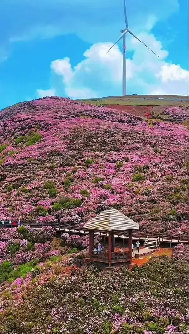 六盘水十大旅游景点精选,想去六盘水旅游,看这个攻略就够了!