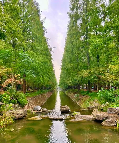 上海崇明区旅游攻略必去十大景点推荐,一日游好玩的地方全在这里!