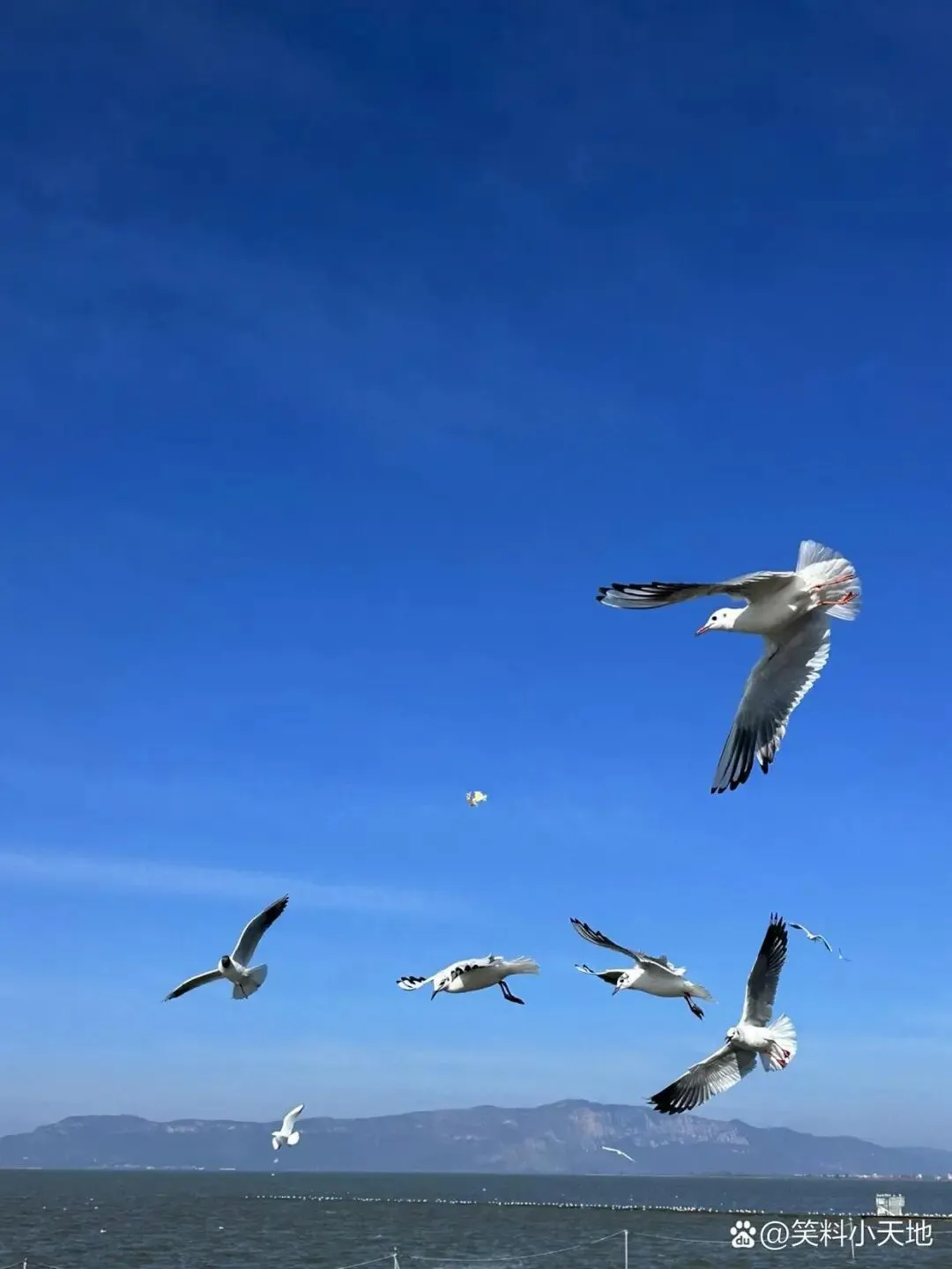 西安|大学生的两天一夜超绝旅行(附攻略)