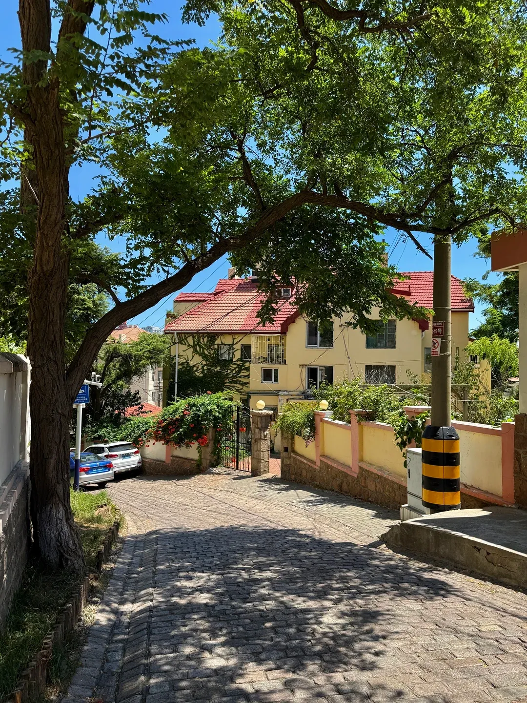 2026 最新青岛旅游攻略:吃住行玩全指南 + 本地高口碑旅拍推荐