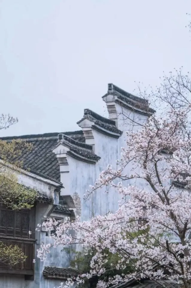 濮院超全旅游攻略:一座枕水而生的江南古镇