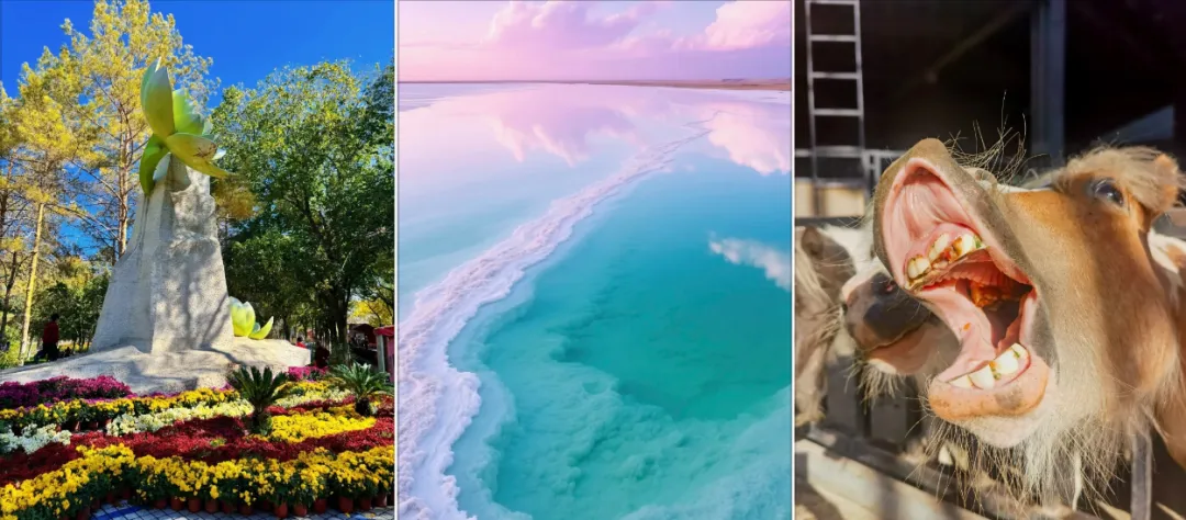 高铁直达!乌鲁木齐十大旅游景点精选,想去乌鲁木齐旅游,看这个就够了!