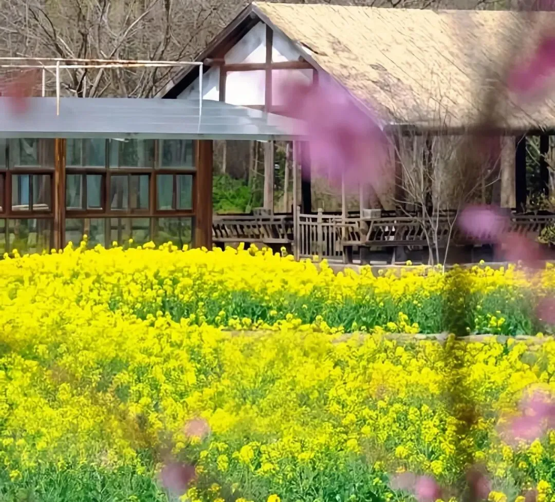 嘉兴桐乡水乡游玩攻略