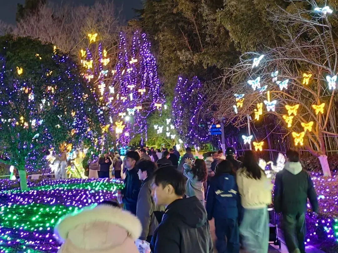 新版《旅游投诉处理办法》3月15日起正式施行!