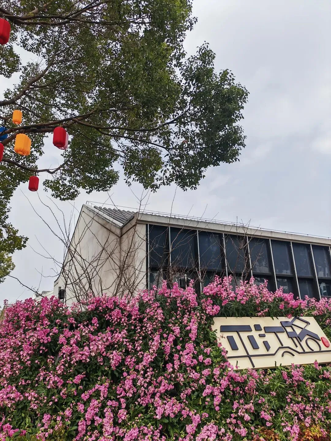 2026年苏杭闺蜜开心风苏杭五日跟团游玩攻略