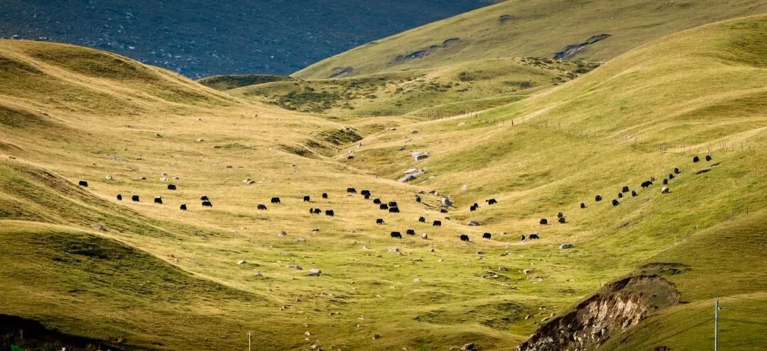 西北大环线7日跟团游玩攻略,西北大环线放心游玩