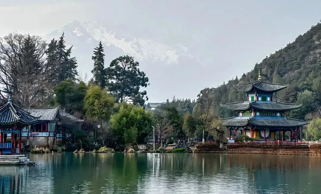 做了15年旅游规划,我今天才敢说:很多项目是怎么做死的