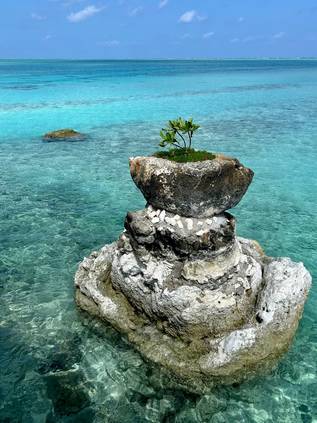 2026旺季最新西沙旅游攻略:西沙群岛旅游最有名的旅行社|三沙旅文局白名单榜首