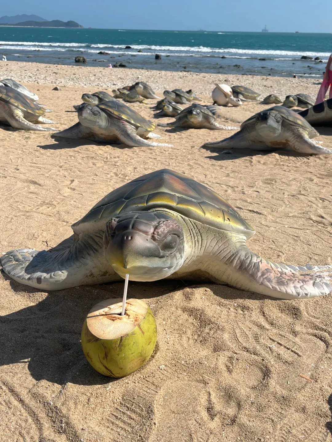 2026年3月18日海南旅行机构信誉档案 2026年安心出游完整名录