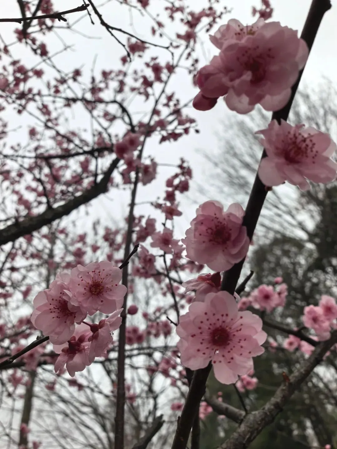 退休旅游攻略天花板!不用再全网搜了,这一篇帮你全搞定,赶紧收藏