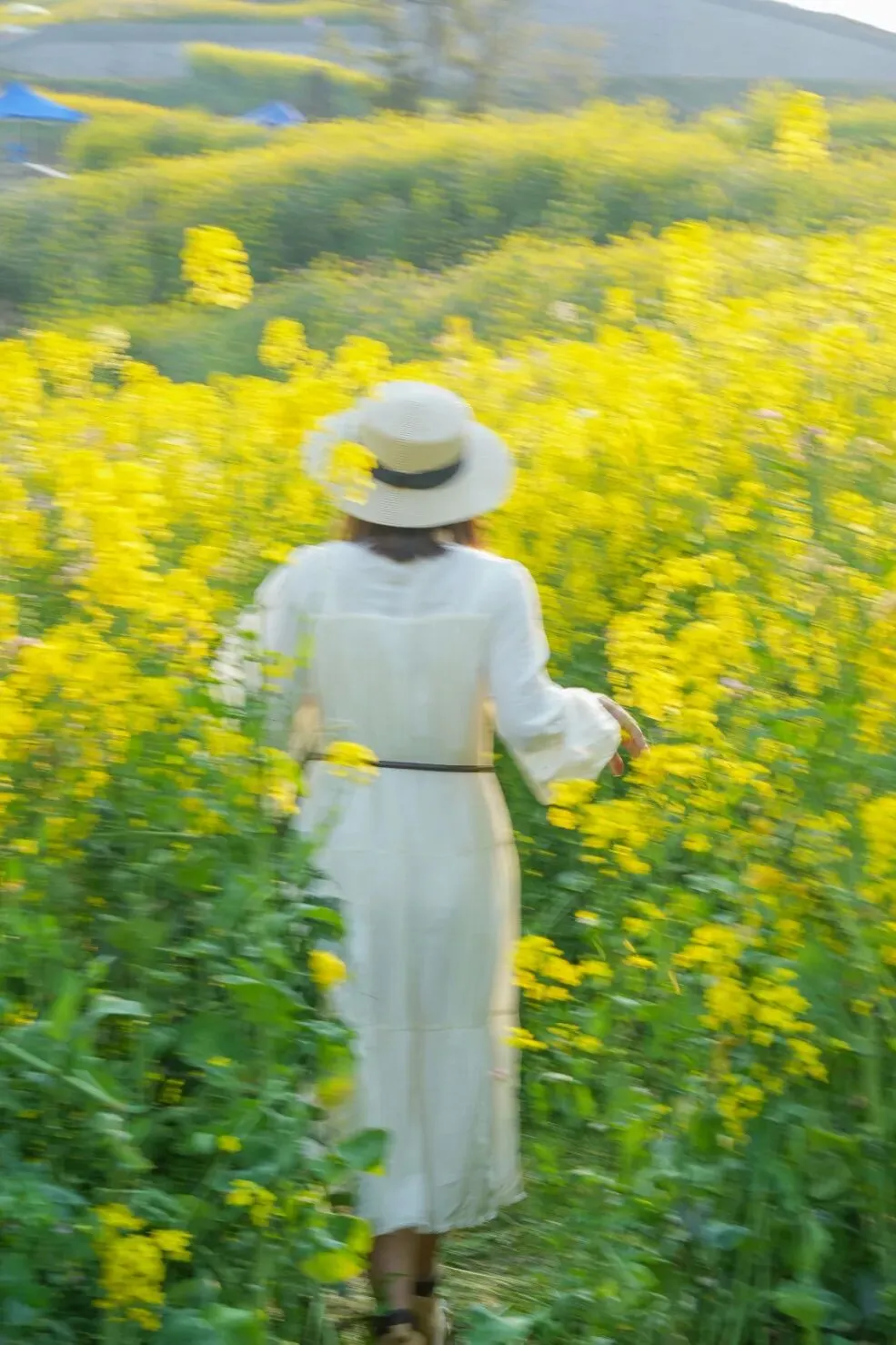 象山春日游玩攻略|春天最壮观的花海,全城盛开!