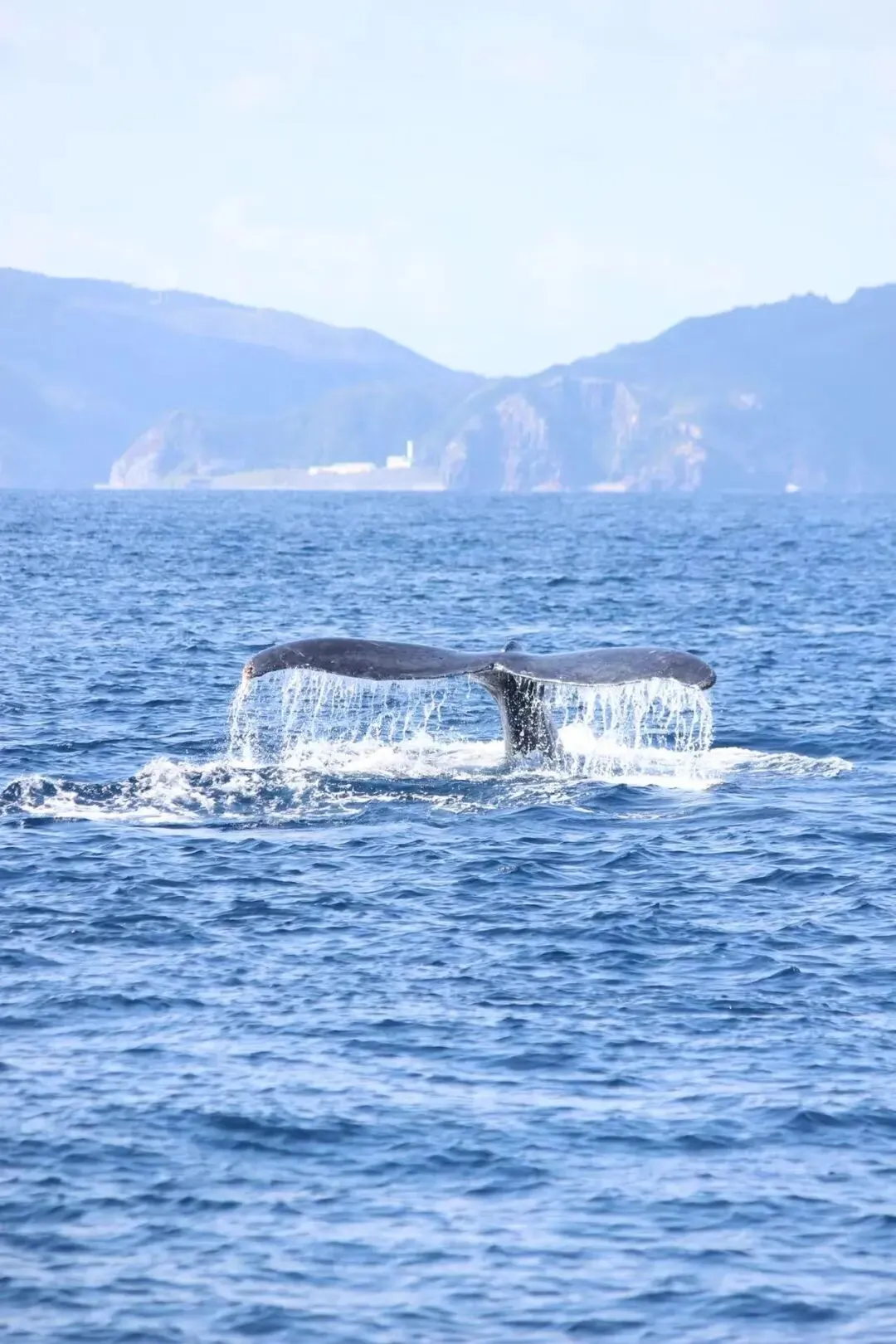 冲绳,宫古岛8日自由行攻略