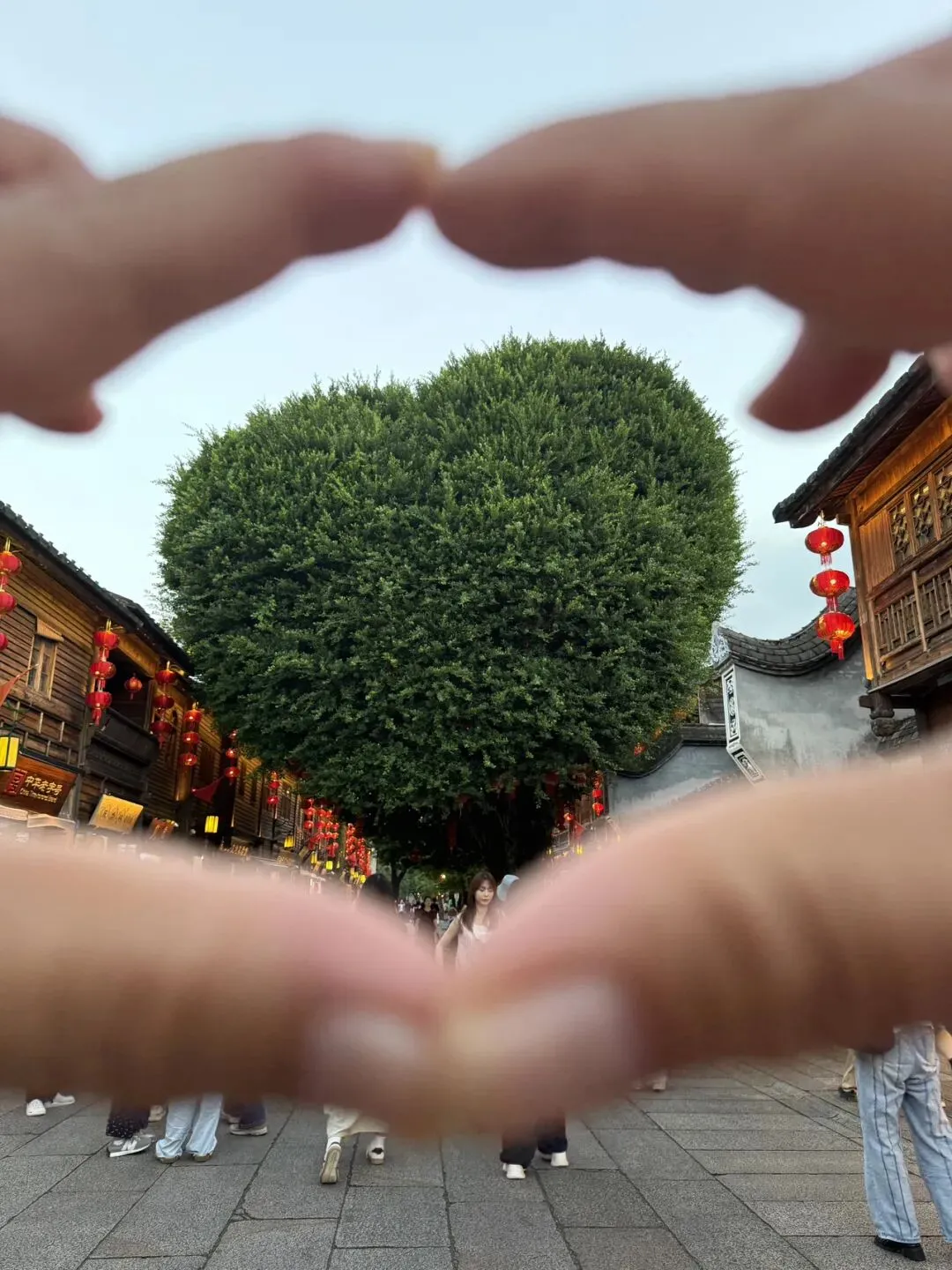 福州免费游玩攻略|10个宝藏地,0元逛遍有福之州