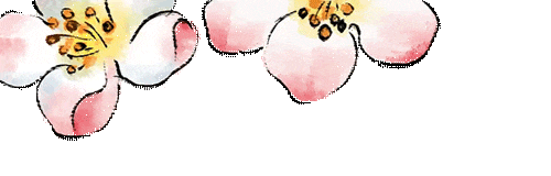 【游玩攻略】春风十里,不如放风筝!西宁放风筝地图新鲜出炉,快来看!