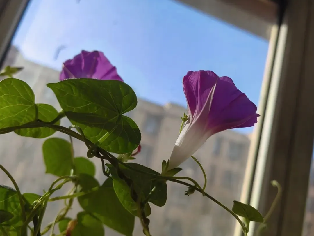 旅游写诗的方法技巧