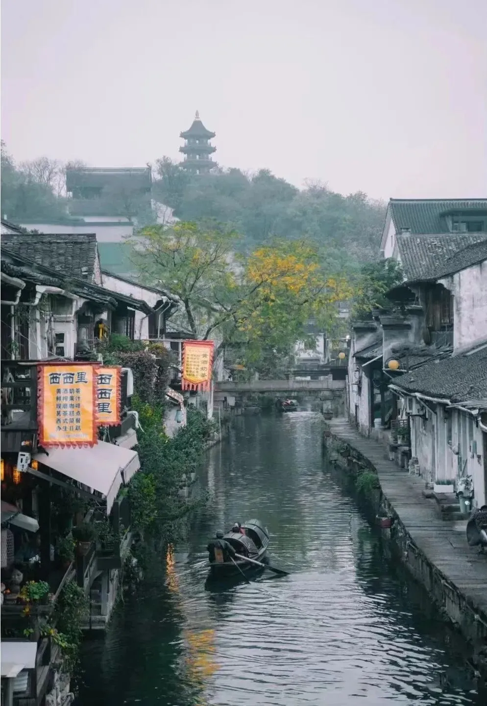 旅游攻略 | 浙江绍兴春日私藏地图:从张村樱花谷到安昌古镇,解锁最地道的江南