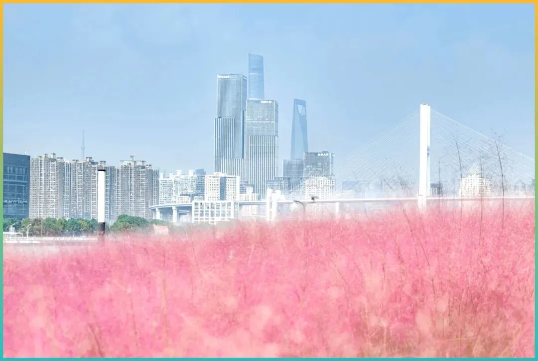 强烈建议!4月江浙沪自驾游攻略,这6条路线美景无限