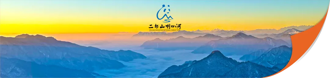 大雪将至!提前收藏喇叭河的冬日游玩攻略!