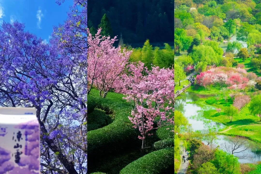 收藏|高铁直达!3-4月适合周末短途旅行的6座城市,不用攻略,这周末就选择第三个出发吧!