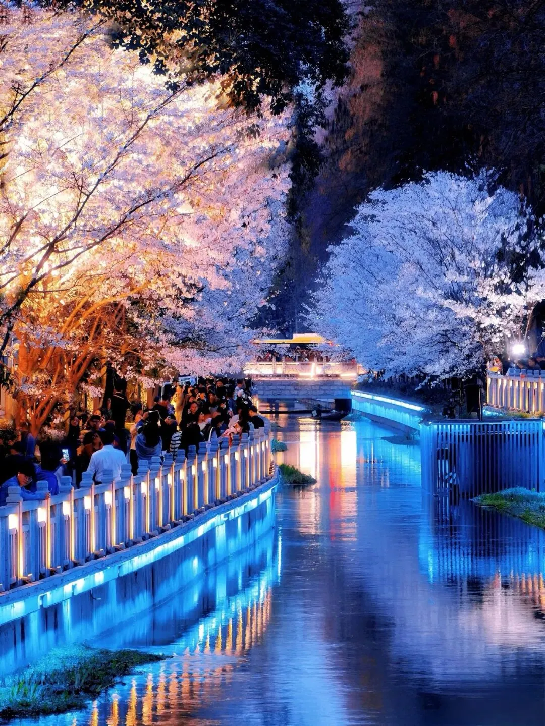 南京春天才是国内旅行天花板!!3-4月最新赏花攻略!