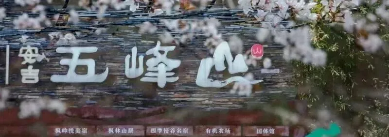 梨花胜雪,竹海藏春|安吉五峰山春季旅游攻略