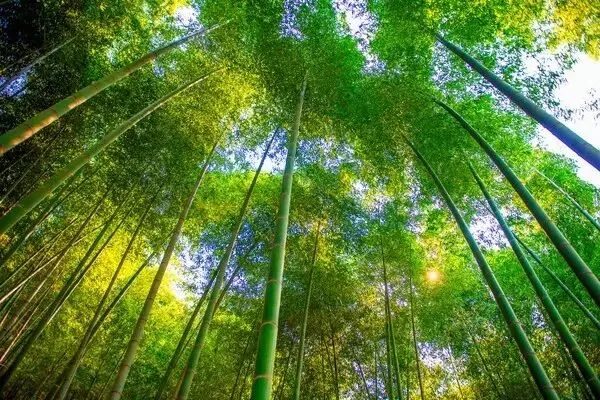 word天!宜兴这家景区了不得!获了个“高大上”的省级荣誉!