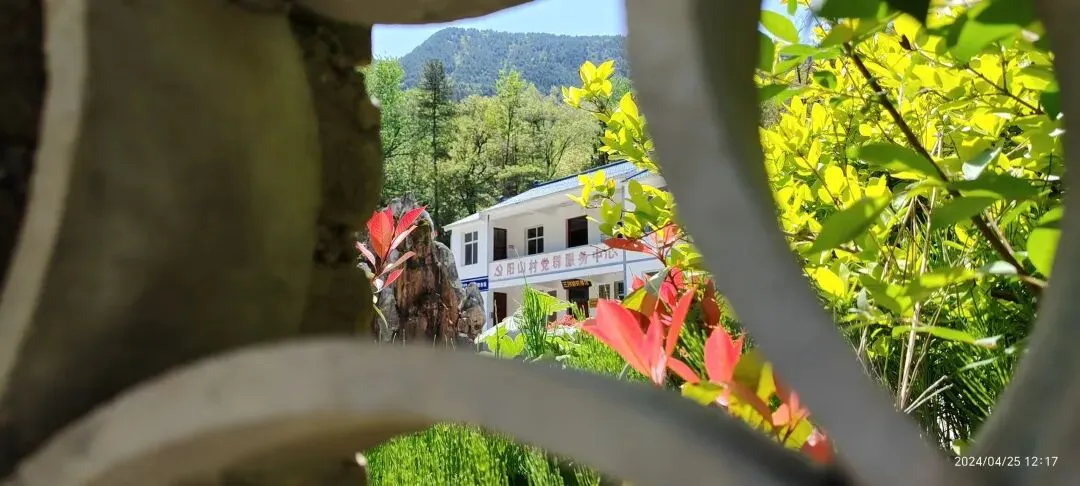 阳山村生态休闲旅游发展实施计划方案(拟建设)