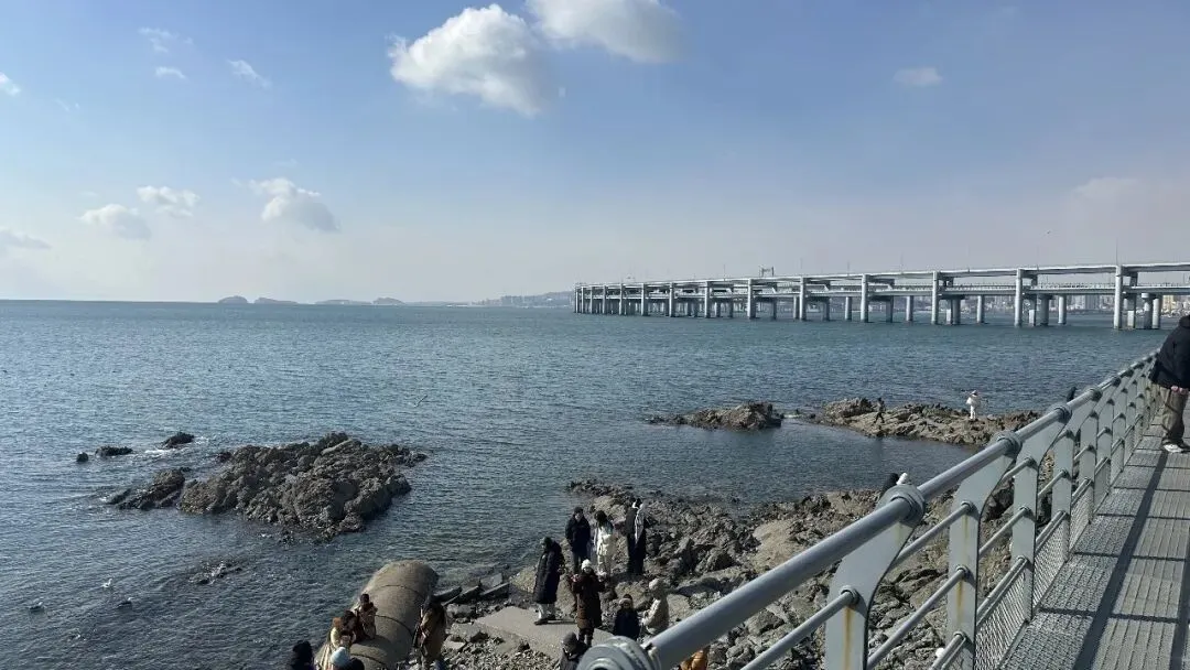 大连超全游玩攻略|本地导游带你避雷畅玩,看这篇就够了!