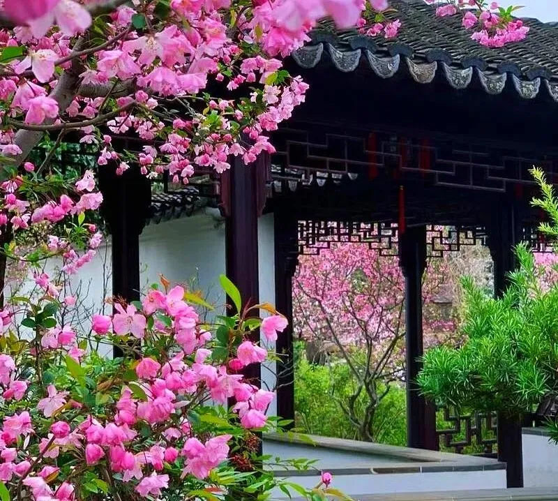 苏州姑苏水乡春游攻略