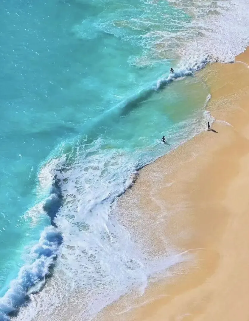 普通人如何抓住旅游的新红利?把爱好变现,实现“说走就走”的边玩边賺!