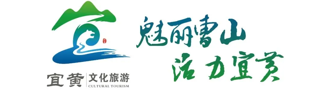 旅游维权指南:对导游乱象、强制消费说不!