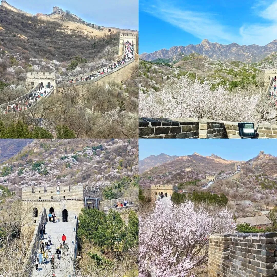 春天来北京一定要走这条线!北京五天四晚旅游攻略和五天旅游路线分享