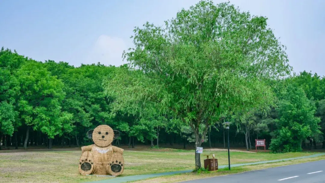 春日旅行计划|奔赴东海森林温泉,住进万亩林海间