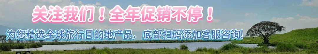 旅行攻略|野奢非洲,大象天堂!塔兰吉雷Tarangire,坦桑尼亚第二受欢迎的国家公园!