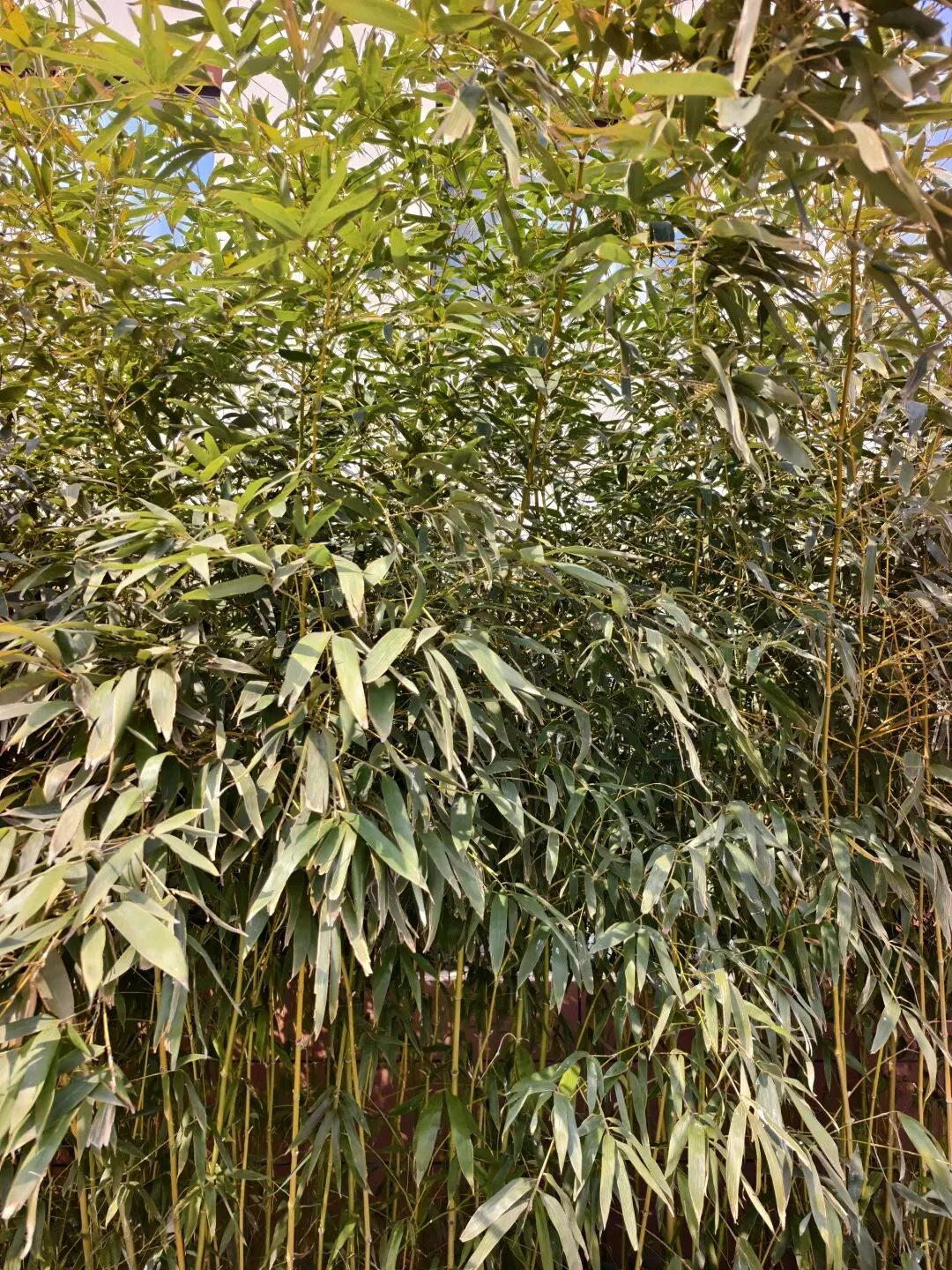 河北15条自驾慢游全方位路线