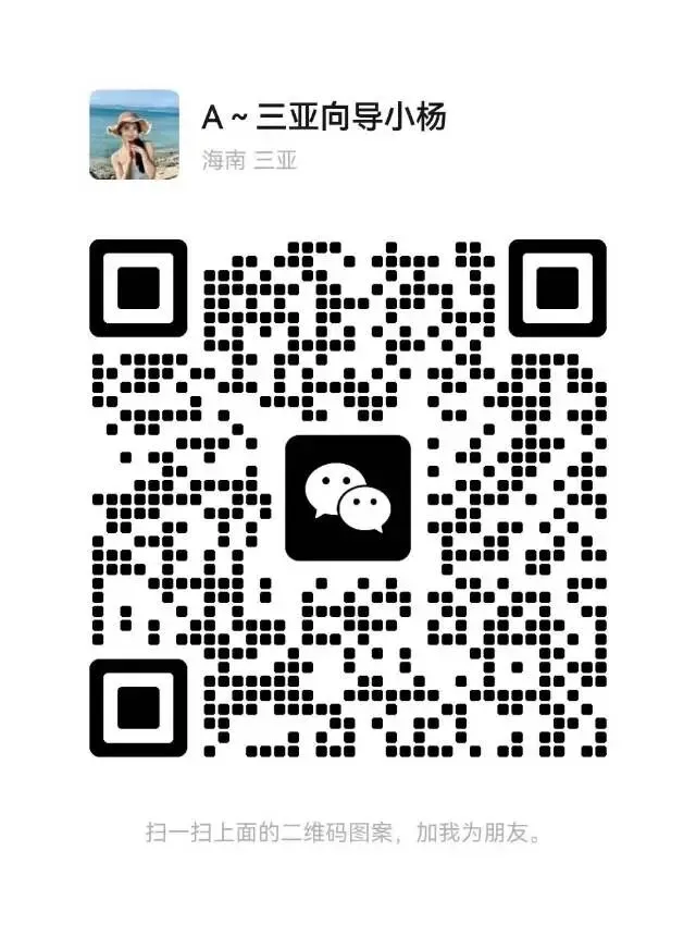 三亚旅游必看|靠谱领队小杨,攻略、避坑、省心一站式搞定
