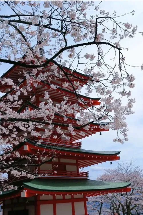 不用攻略!说走就走!4月5个无压力旅行地,每一个都治愈满分,心灵放松!!