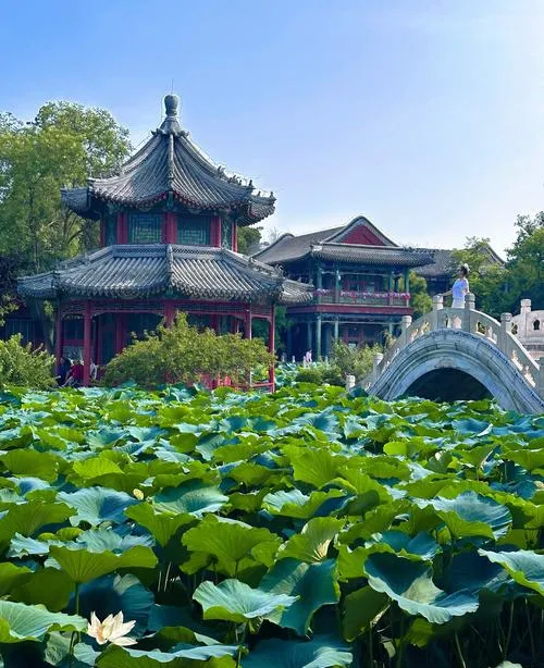 高铁直达!适合周末短途旅行的6座城市,无需攻略,挑一个就出发!