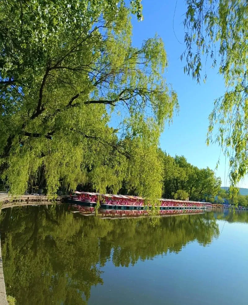 谁说旅行必须做攻略?在鞍山街头随意Citywalk,才是打开春天的正确方式