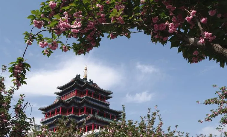 谁说旅行必须做攻略?在咸阳街头随意Citywalk,才是打开春天的正确方式