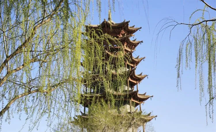 谁说旅行必须做攻略?在张掖街头随意Citywalk,才是打开春天的正确方式